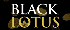 Black Lotus Casino