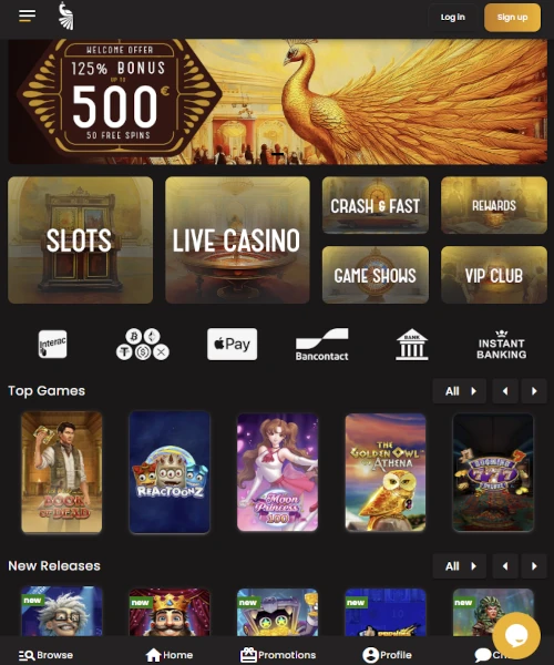 Art Casino Review