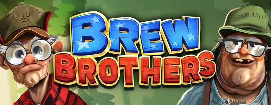 Brew Brothers review