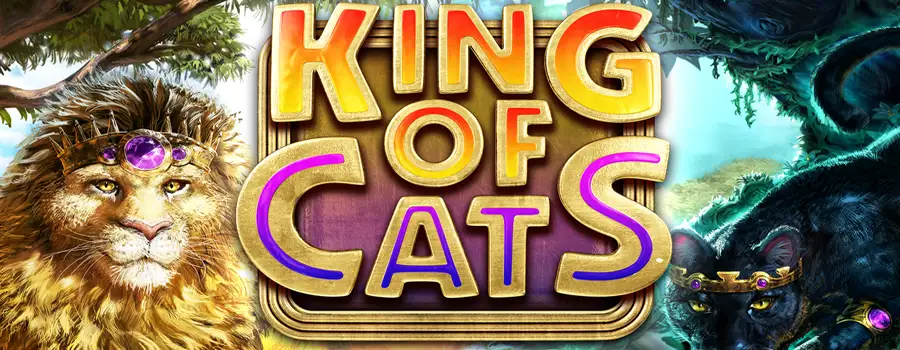 King of Cats Megaways review