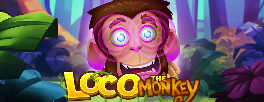 Loco the Monkey review