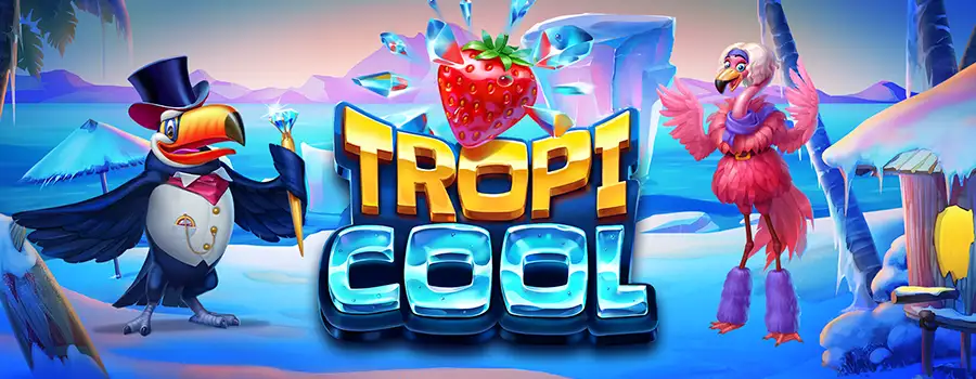 Tropicool review