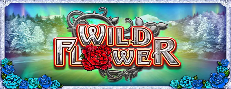 Wild Flower review
