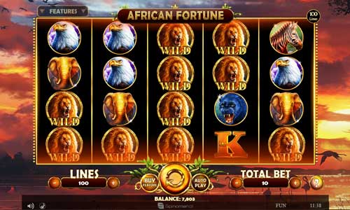 African Fortune gameplay