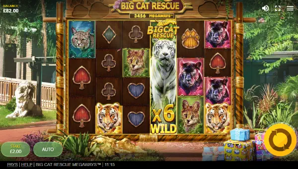 Big Cat Rescue Megaways gameplay