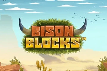 Bison Blocks