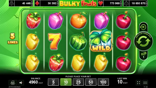 Bulky Fruits gameplay