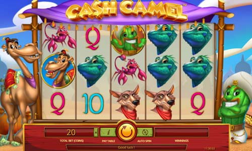 Cash Camel gameplay