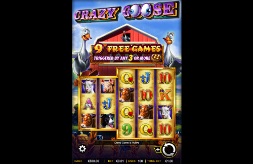 Crazy Goose gameplay