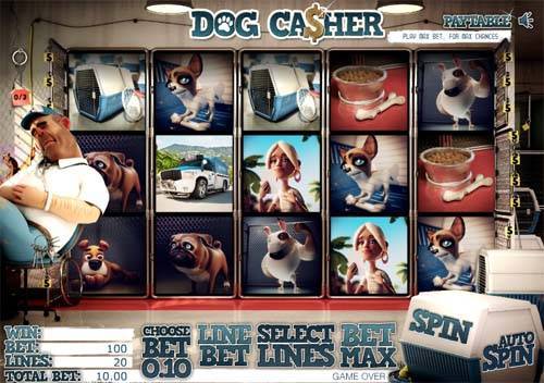 Dog Casher Gameplay