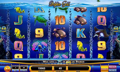 Dolphin Gold gameplay