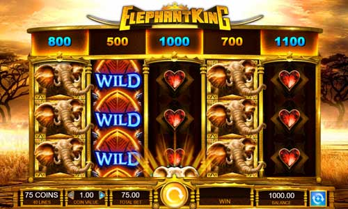 Elephant King gameplay