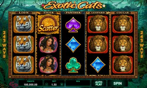 Exotic Cats gameplay