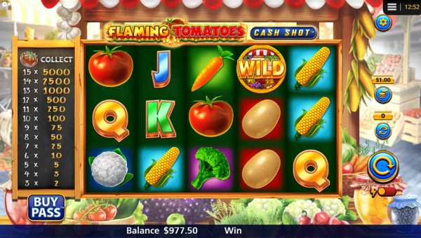 Flaming Tomatoes Cash Shot gameplay