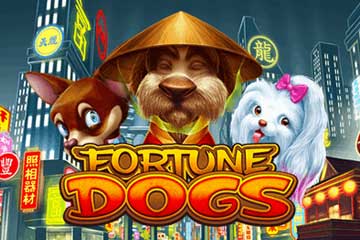 Fortune Dogs