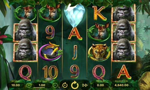 Горилла casino gorilla vad1