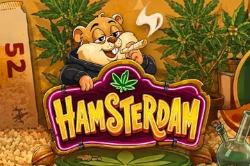 Hamsterdam best online slot