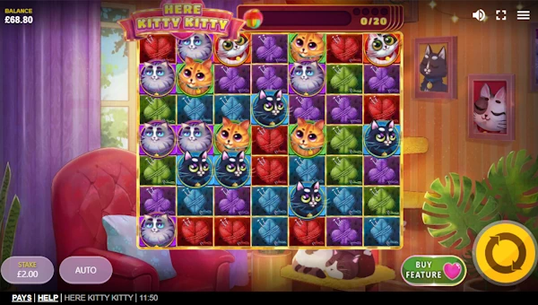 Here Kitty Kitty gameplay