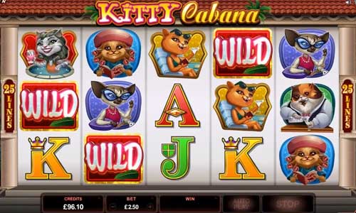 Kitty Cabana gameplay