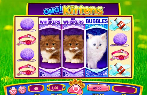 OMG Kittens gameplay