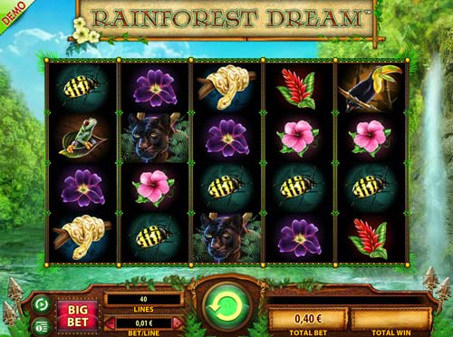 Rainforest Dream gameplay