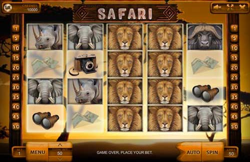 Safari gameplay