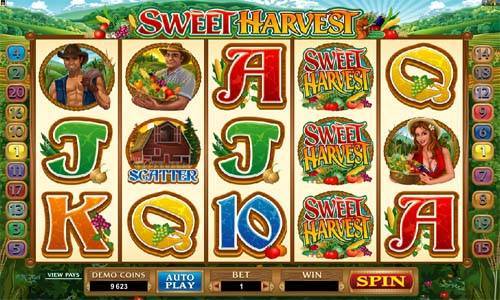Sweet Harvest gameplay