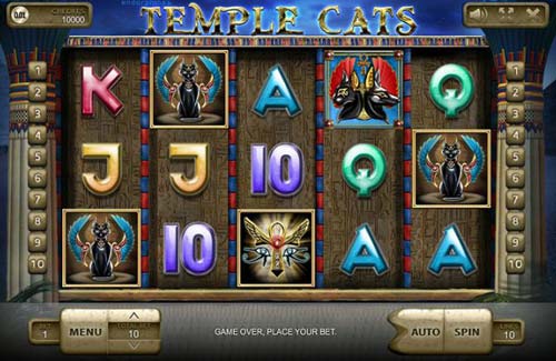 Temple Cats gameplay