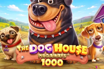 The Dog House Megaways 1000 best online slot