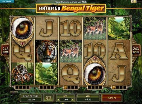 Untamed Bengal Tiger gameplay