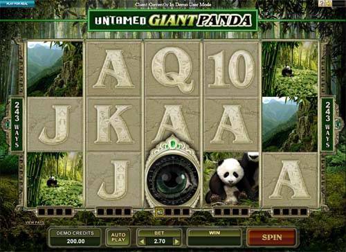Untamed Giant Panda gameplay
