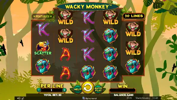 Wacky Monkey gameplay