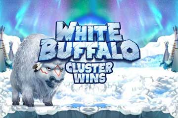 White Buffalo