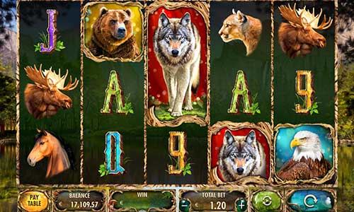 Wild Animals gameplay