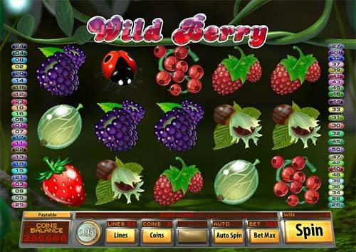 Wild Berry gameplay