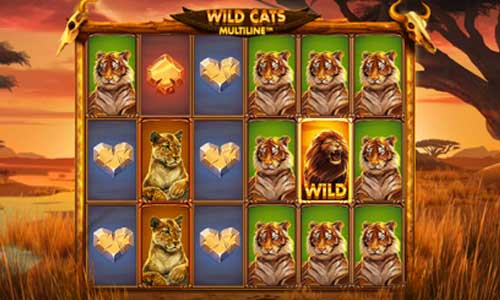 Wild Cats Multiline gameplay