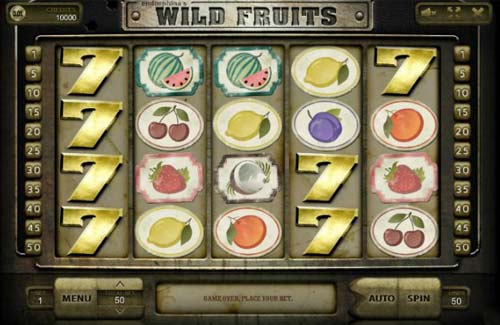 Wild Fruits gameplay