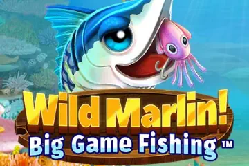 Wild Marlin Big Game Fishing