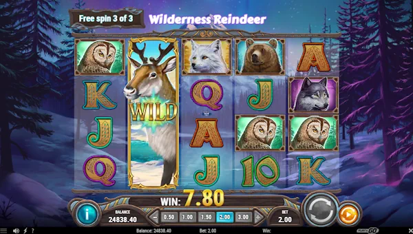 Screenshot of Wild North Radiant Skies slot demo showing reels and bonus game features