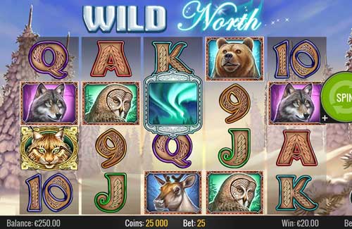 Wild North gameplay