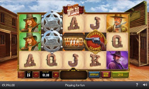 Wild West Wilds gameplay