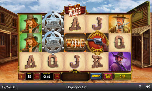 Wild West Wilds base game screenshot showing reels and features