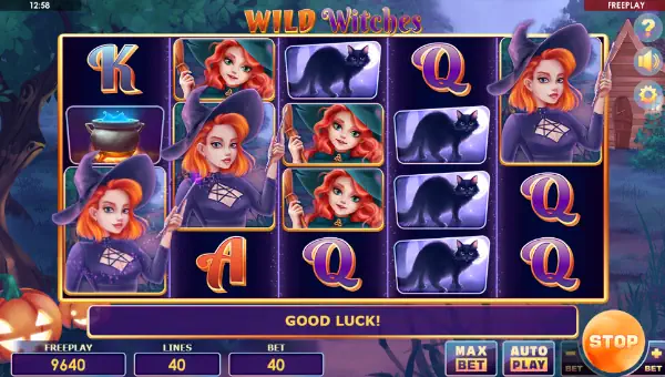 Wild Witches gameplay