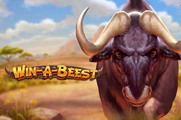 Win a Beest